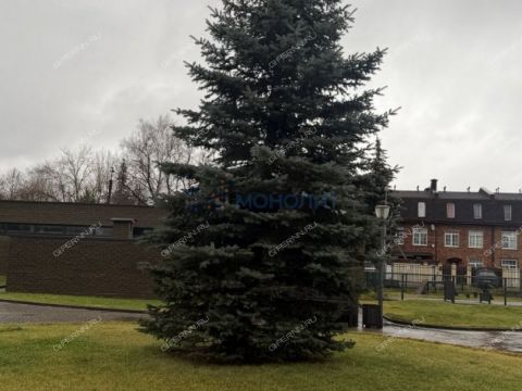 1-komnatnaya-ul-rodionova-d-192-k5 фото