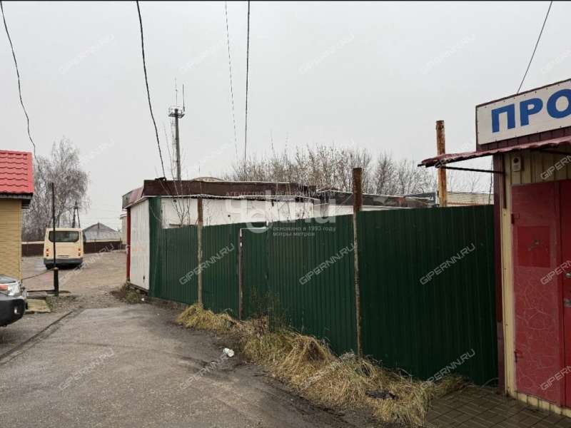 земельный участок 553 сотки улица Пушкина город Лукоянов