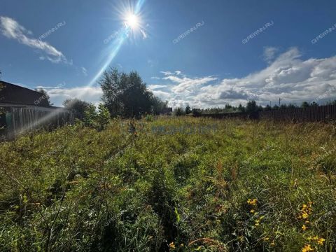 derevnya-vybolovo-bogorodskiy-municipalnyy-okrug фото