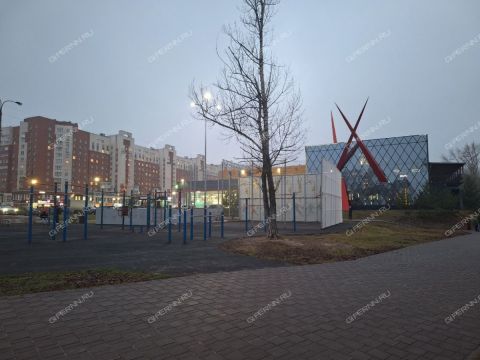 1-komnatnaya-b-r-meshherskiy-d-7-2 фото