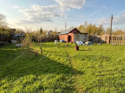 dacha-st-michurinec-sad-n-5-gorodskoy-okrug-dzerzhinsk фото