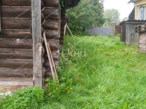 derevnya-krutec-gorodskoy-okrug-bor фото