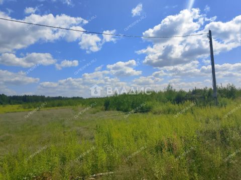 derevnya-inyutino-bogorodskiy-municipalnyy-okrug фото