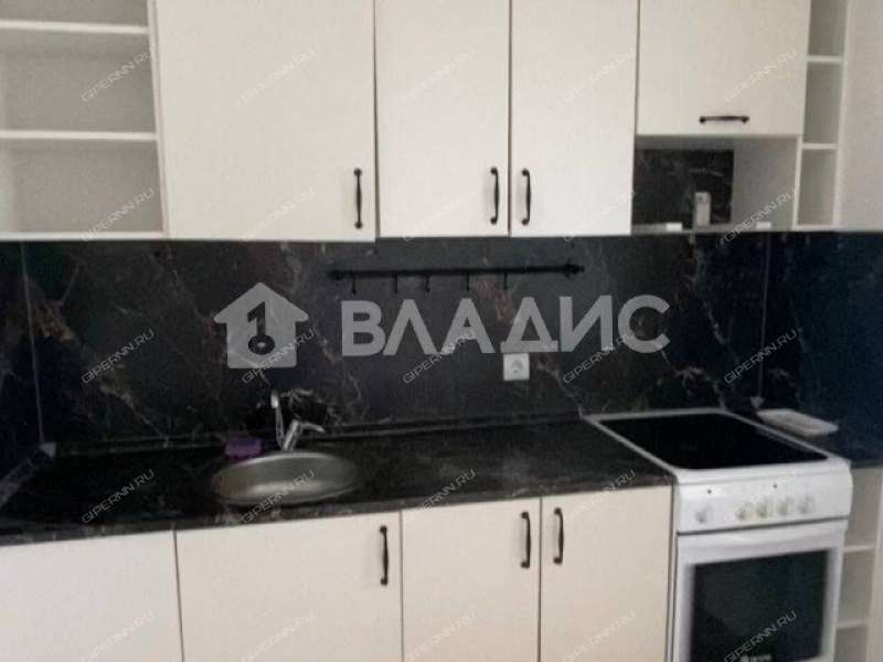 однокомнатная квартира на Русской улице улице дом 9 деревня Анкудиновка