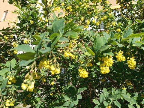 2-komnatnaya-prosp-gagarina-d-101-k5 фото