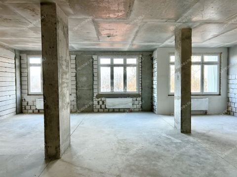 4-komnatnaya-ul-belinskogo-d-66 фото