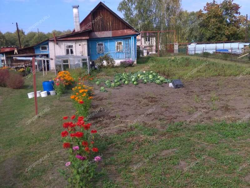 Поселок 1 мая. Поселок 1 мая Балахнинский район. Поселок первое мая Балахнинский район. Поселок первое мая Балахнинский район ночь. Поселок 1 мая Балахнинский район фотографии.