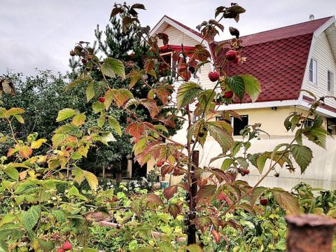 kottedzh-ul-sudovaya-d-30a фото