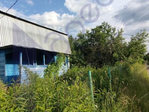 dacha-derevnya-podrezovo-gorodskoy-okrug-bor фото