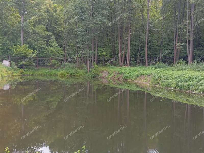 помещение под помещение свободного назначения в посёлке Санаторий им. ВЦСПС