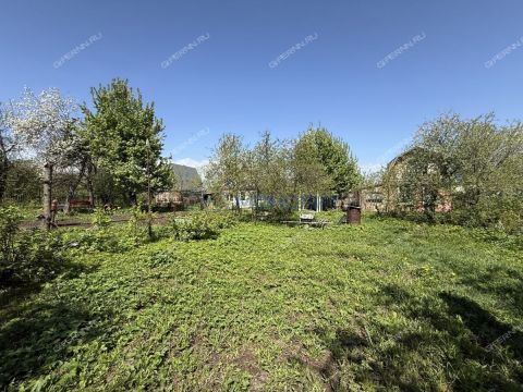 dacha фото