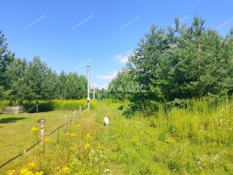 derevnya-inyutino-bogorodskiy-municipalnyy-okrug фото