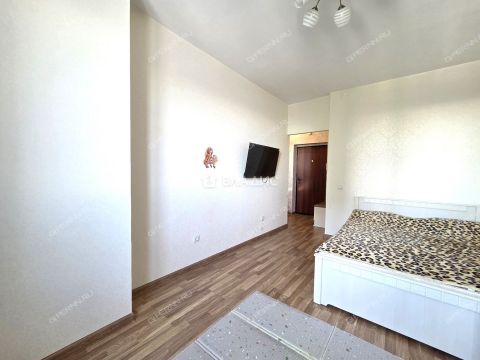 1-komnatnaya-derevnya-afonino-kstovskiy-rayon фото