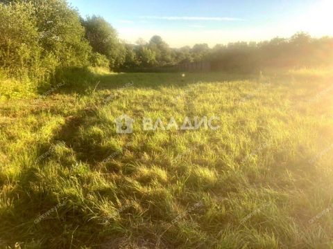 derevnya-gremyachki-bogorodskiy-municipalnyy-okrug фото