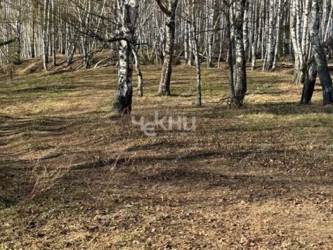 derevnya-kudrino-sokolskiy-gorodskoy-okrug фото