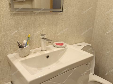 2-komnatnaya-ul-geroya-sovetskogo-soyuza-prygunova-d-1 фото