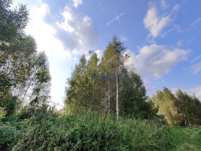 земельный участок 15,7 сотки Центральная улица