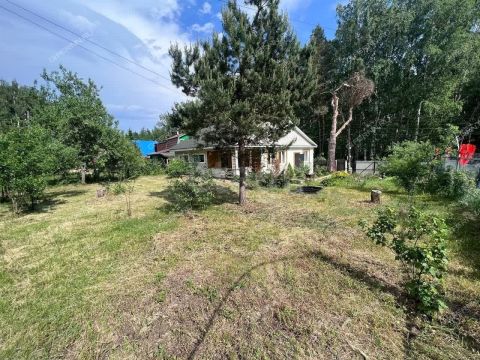 dacha-poselok-sitniki-gorodskoy-okrug-bor фото