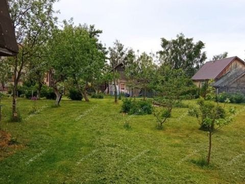 derevnya-piyaichnoe-sosnovskiy-rayon фото