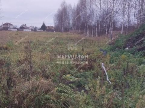 novinskiy-selsovet фото