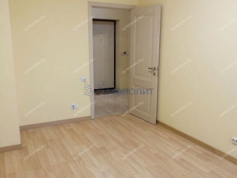 2-komnatnaya-derevnya-ankudinovka-kstovskiy-rayon фото