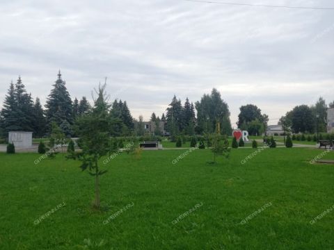 2-komnatnaya-derevnya-prokoshevo-kstovskiy-rayon фото