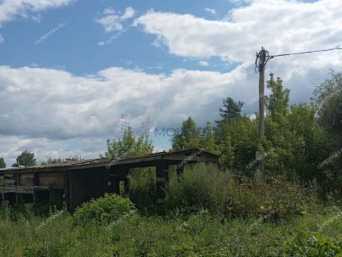 gorod-bogorodsk-bogorodskiy-municipalnyy-okrug фото