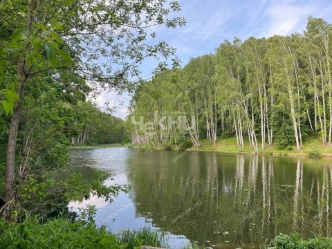 rabochiy-poselok-vorotynec-vorotynskiy-gorodskoy-okrug фото