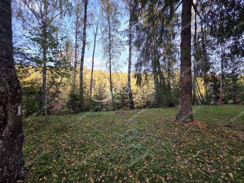 земельный участок 10 соток село Катунки