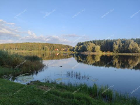 derevnya-orinkino-bogorodskiy-municipalnyy-okrug фото