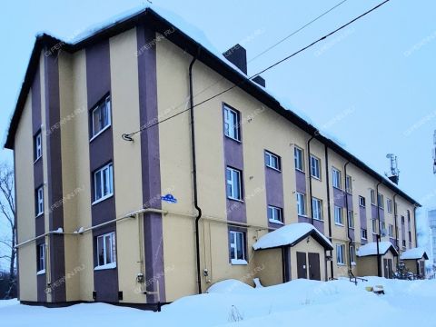 1-komnatnaya-selo-malaya-pica-dalnekonstantinovskiy-rayon фото