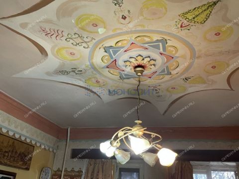 ul-shorina-d-6a фото