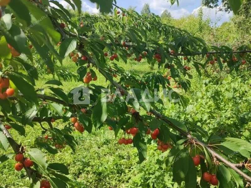 дом на Нагорной улице деревня Турбанка