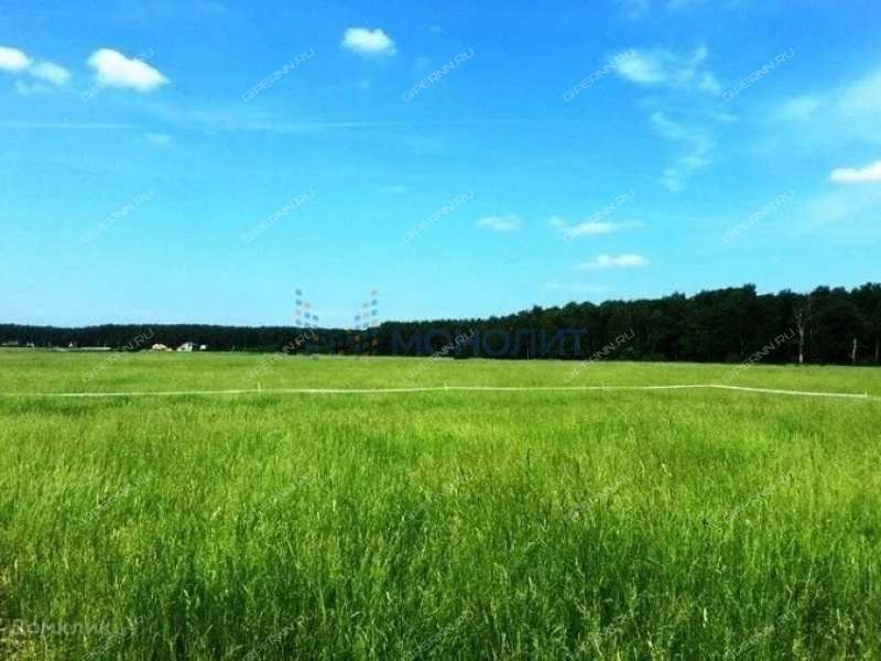 земельный участок 31,8 сотки Тепличная улица село Каменки