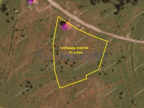 dom-selo-pustyn-gorodskoy-okrug-arzamas фото