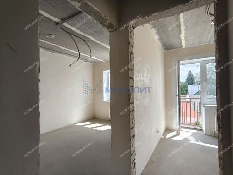 1-komnatnaya-poselok-burevestnik-bogorodskiy-municipalnyy-okrug фото