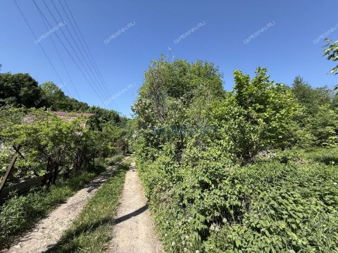 dacha-berezovaya-roshha-derevnya-kremenki-ter-snt-dalnekonstantinovskiy-rayon фото