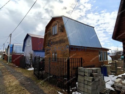 dacha-st-aviator фото