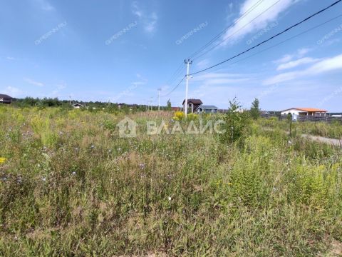 selo-kamenki-bogorodskiy-municipalnyy-okrug фото