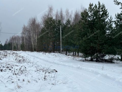 dom-derevnya-berezovka-bogorodskiy-municipalnyy-okrug фото