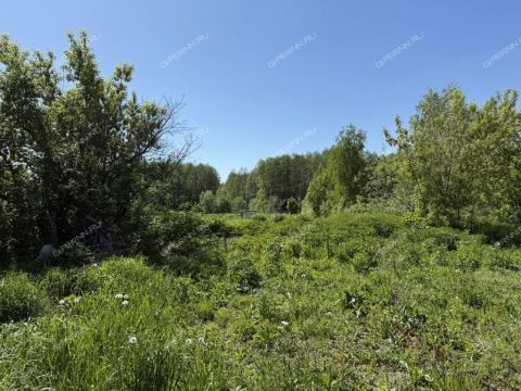 1-2-doma-derevnya-maloe-chuhovo-gorodskoy-okrug-chkalovsk фото