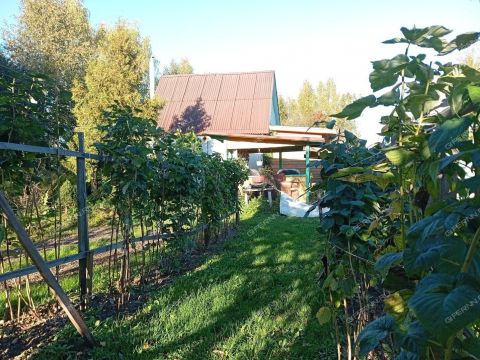 dacha-rabochiy-poselok-bolshoe-kozino-balahninskiy-municipalnyy-okrug фото