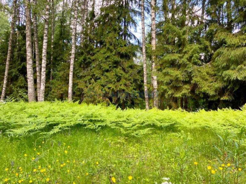 земельный участок 20 соток - деревня Фалино-Пестово