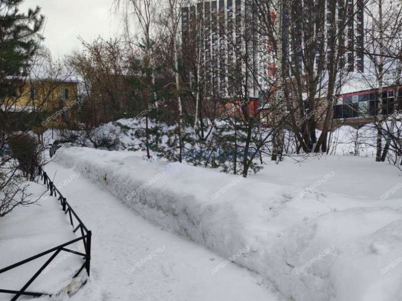 трёхкомнатная квартира на Молитовской улице дом 2