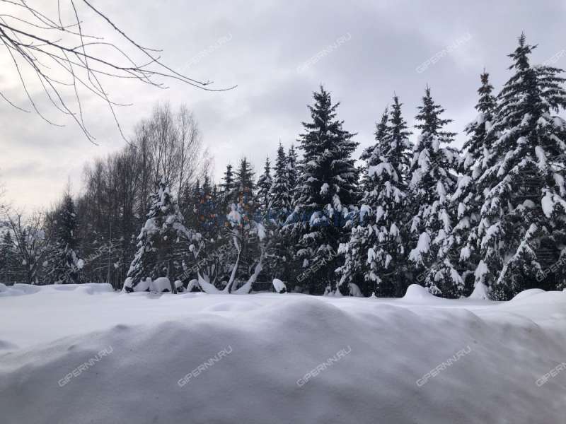 земельный участок 22 сотки Лесная улица село Останкино