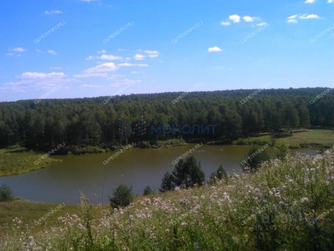 dom-derevnya-krutec-aleshkovskiy-selsovet-bogorodskiy-municipalnyy-okrug фото