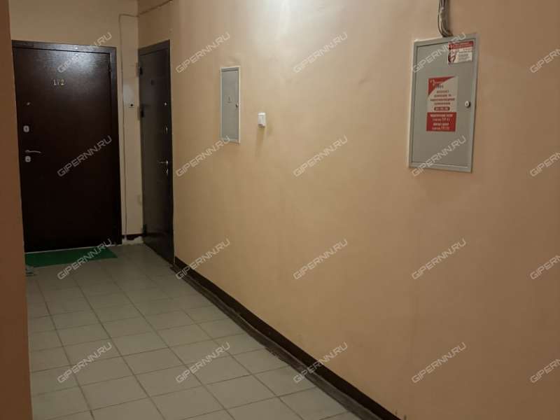 двухкомнатная квартира на Парковой улице дом 6 город Кстово