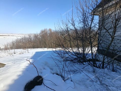 dom-derevnya-maevka-diveevskiy-municipalnyy-okrug фото