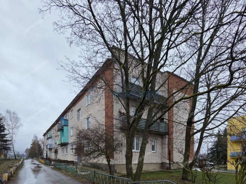 трёхкомнатная квартира на улице Молькова дом 39 деревня Прокошево