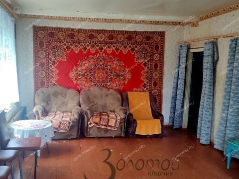 dom-derevnya-staroe-druzhkovo-spasskiy-rayon фото